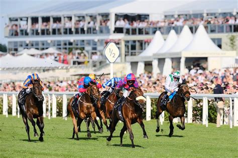 rwayal bet365|Royal Ascot 2024: Kyprios is the best bet with customers .